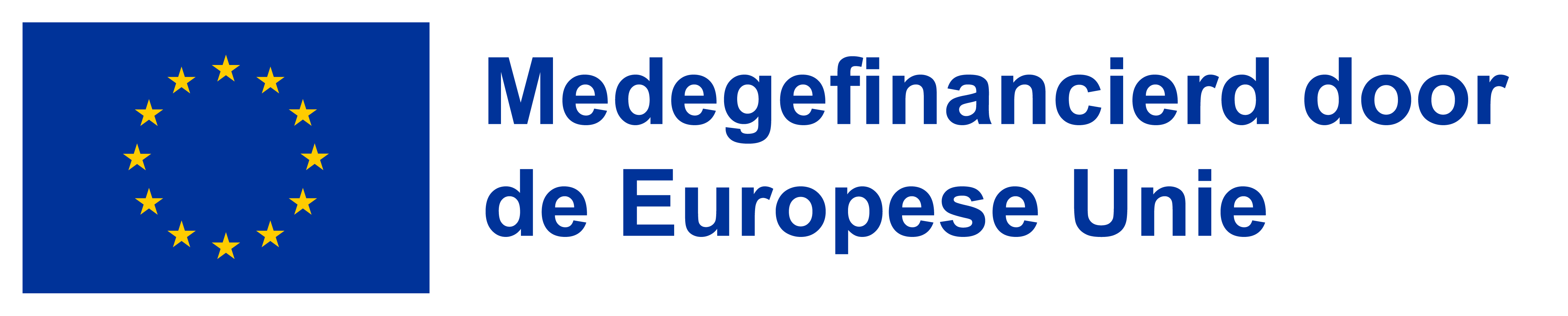 European Union Logo